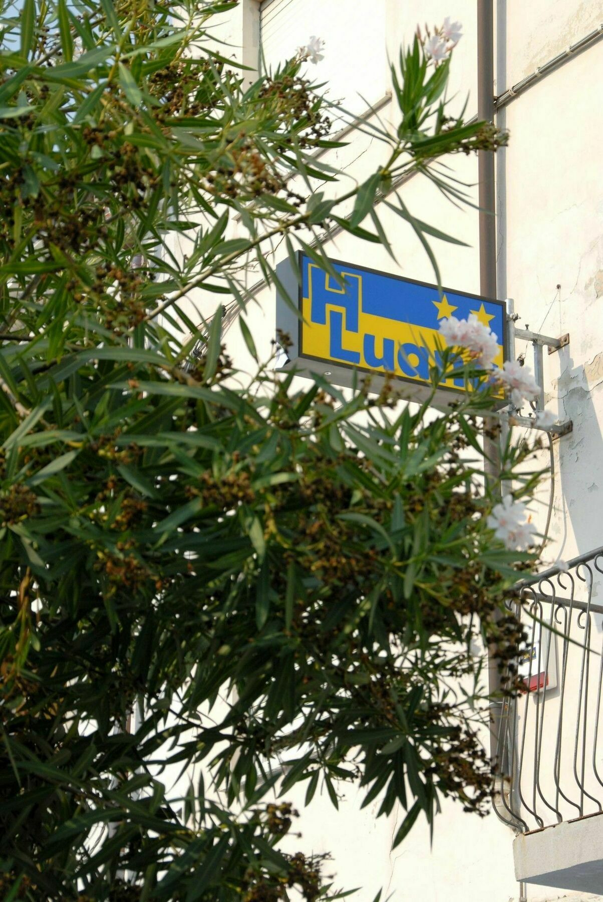 Hotel Luana Виареджо Экстерьер фото